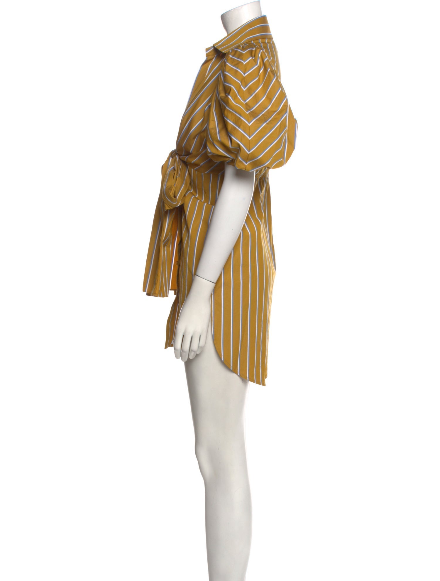 Silvia Tcherassi Striped Mini Dress