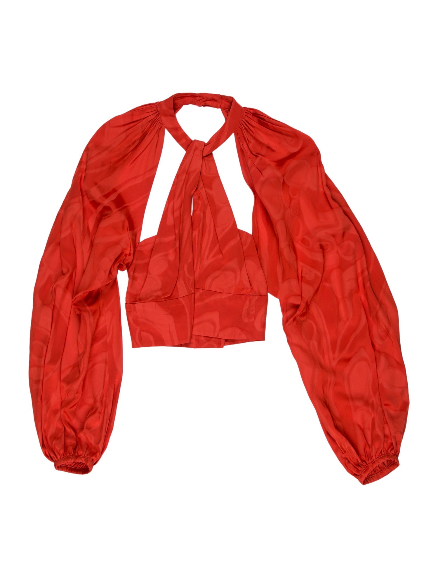 Silvia Tcherassi V-Neck Long Sleeve Crop Top