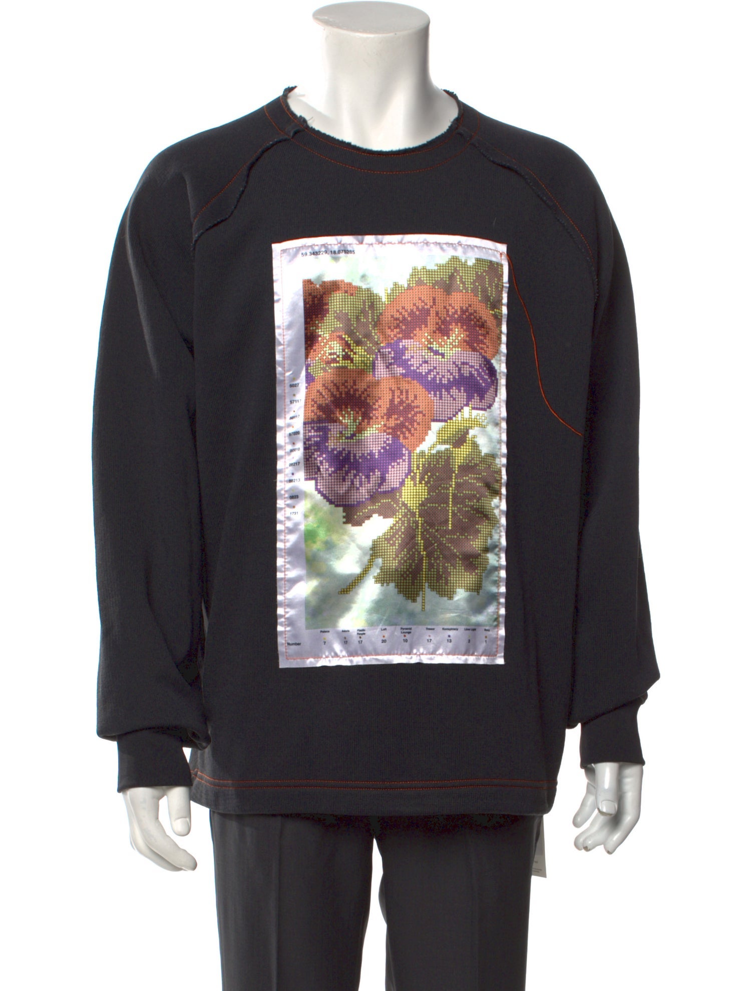 Acne Studios Graphic Print Crew Neck Sweatshirt