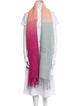 Acne Studios Alpaca Colorblock Pattern Scarf