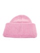 Acne Studios Logo Face Beanie