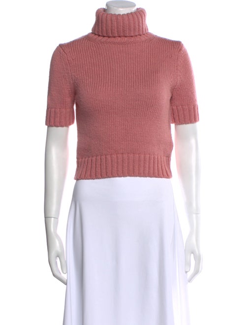Acne Studios Wool Turtleneck Crop Top