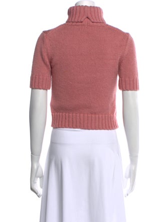 Acne Studios Wool Turtleneck Crop Top