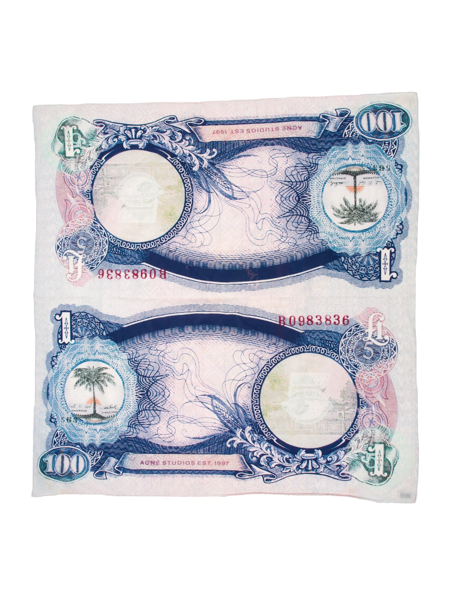 Acne Studios Printed Scarf