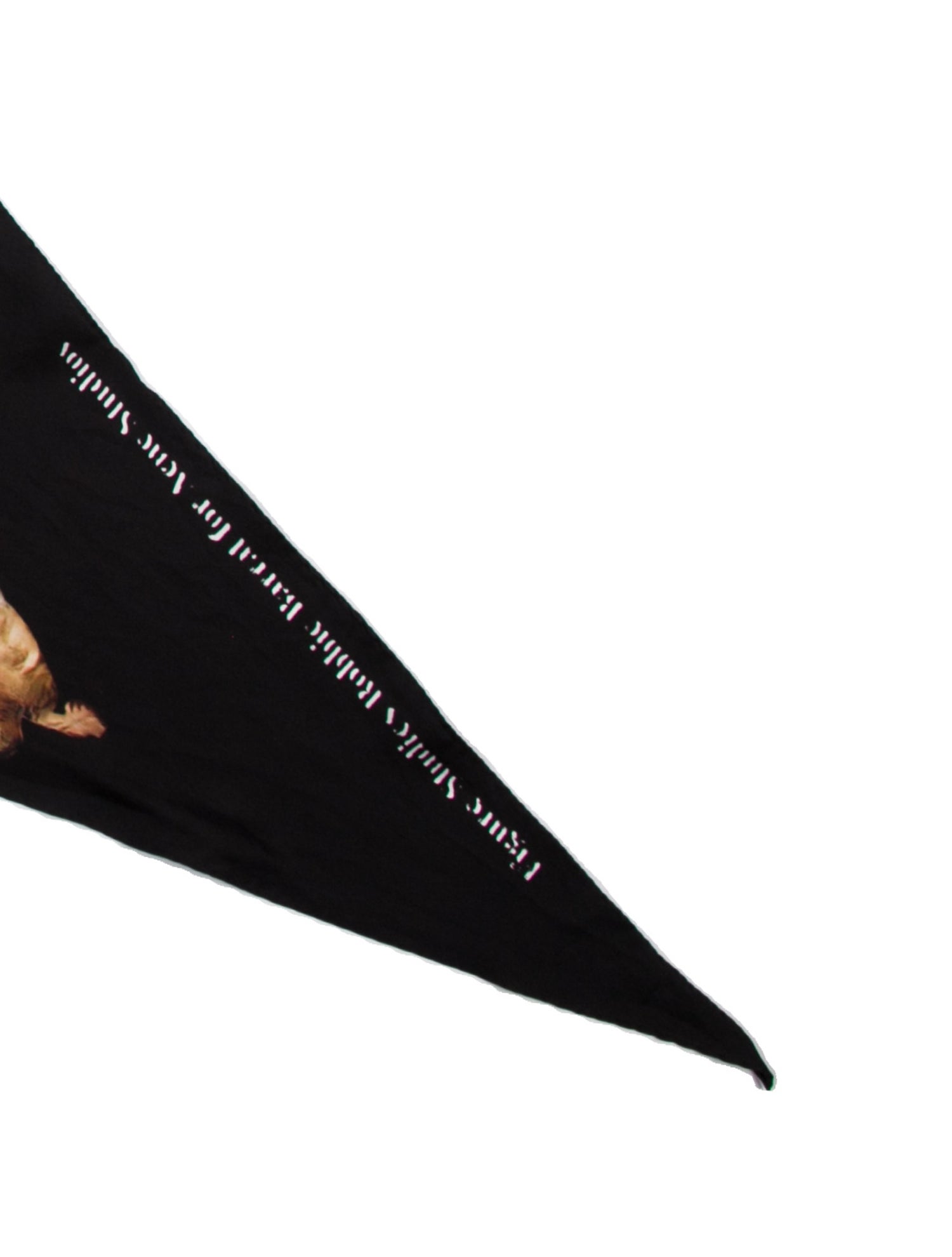 Acne Studios Silk Printed Scarf