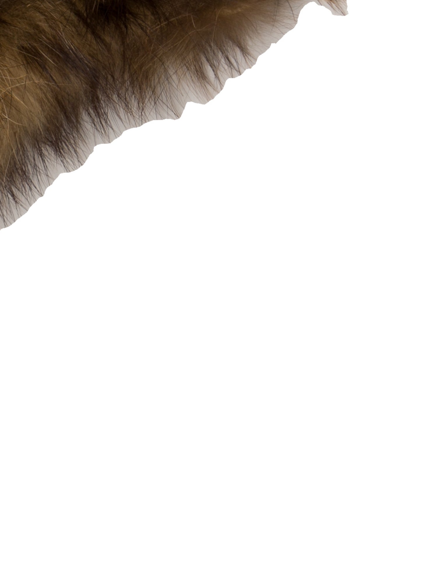 Adrienne Landau Scarf