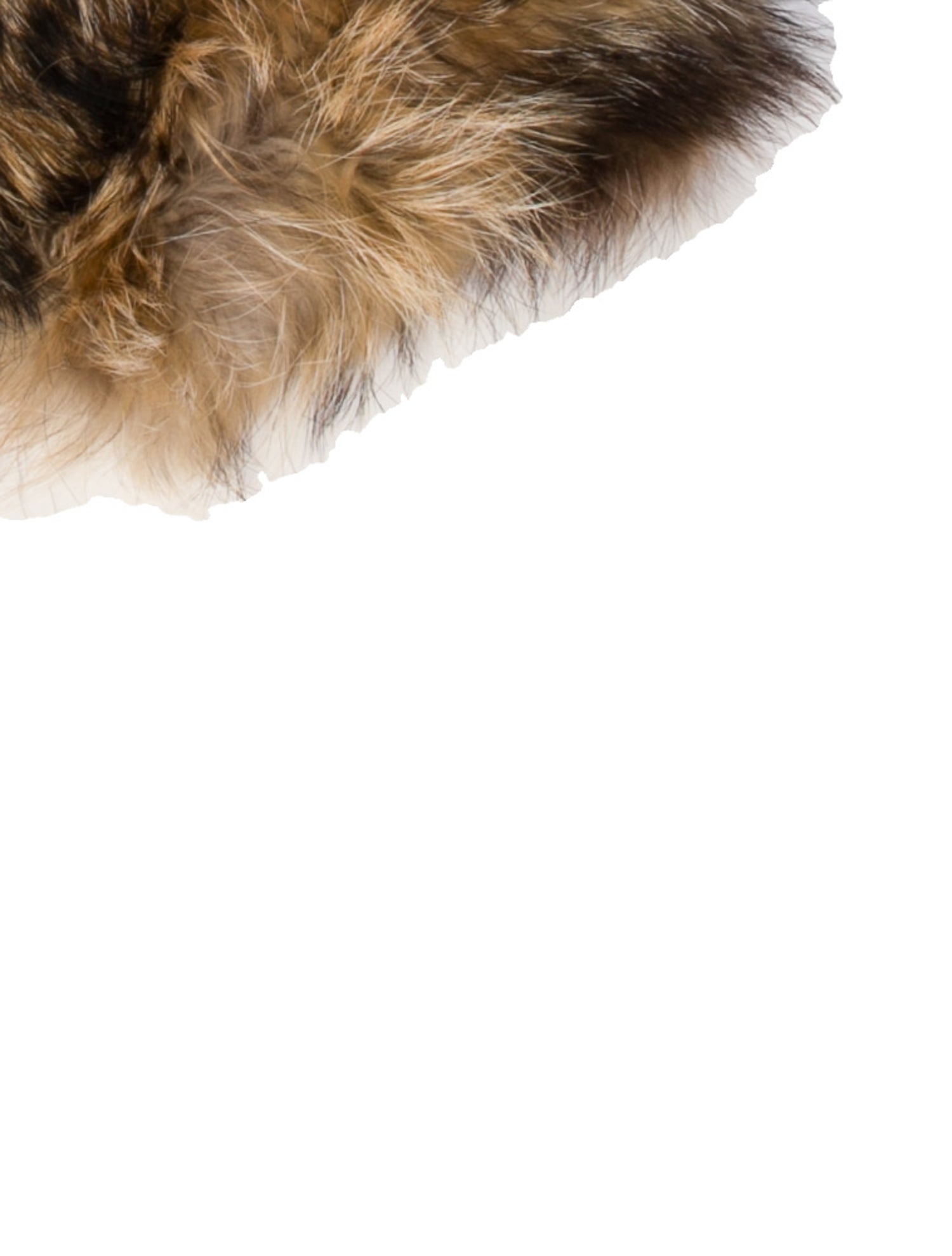 Adrienne Landau Fur Scarf