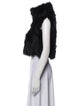 Adrienne Landau Fur Fur Jacket