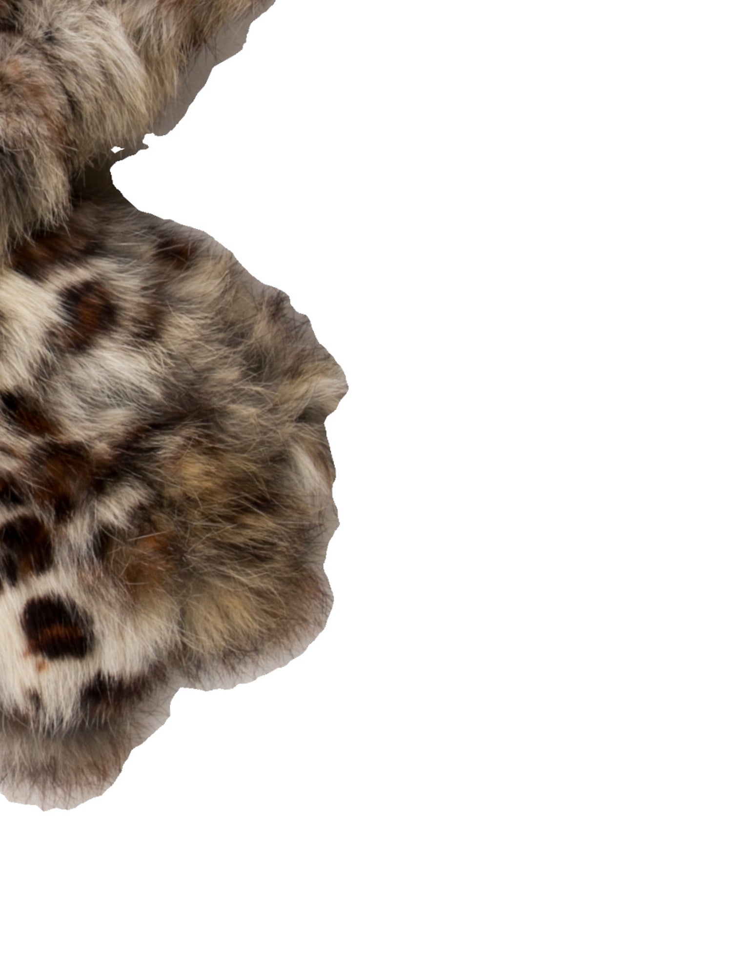 Adrienne Landau Cashmere Animal Print Scarf