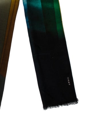 Akris Cashmere Printed Scarf