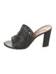 Alaïa Leather Lasercut Accents Slides