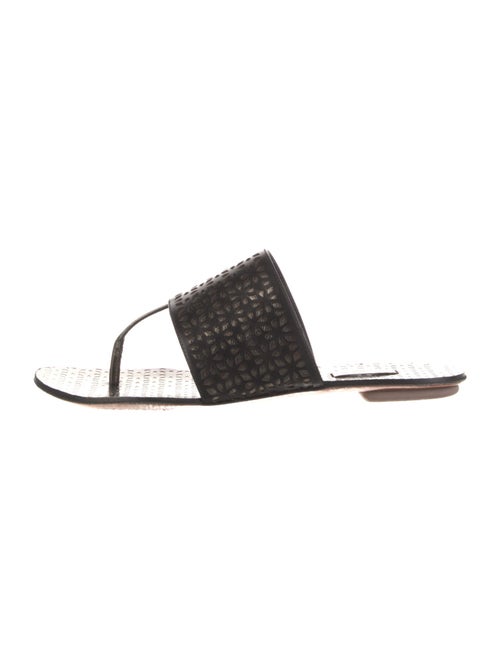 Alaïa Leather Lasercut Accents Slides