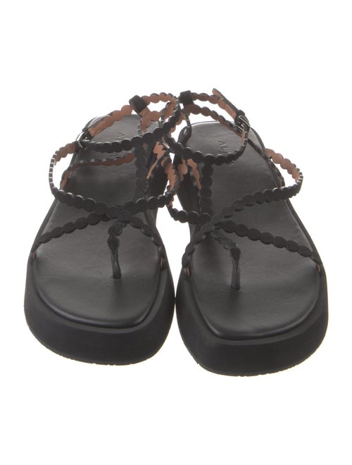 Alaïa Suede Scalloped Accent T-Strap Sandals