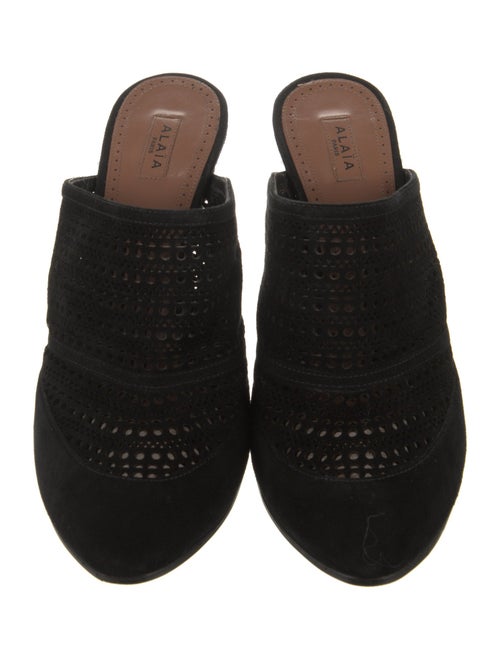 Alaïa Suede Lasercut Accents Mules