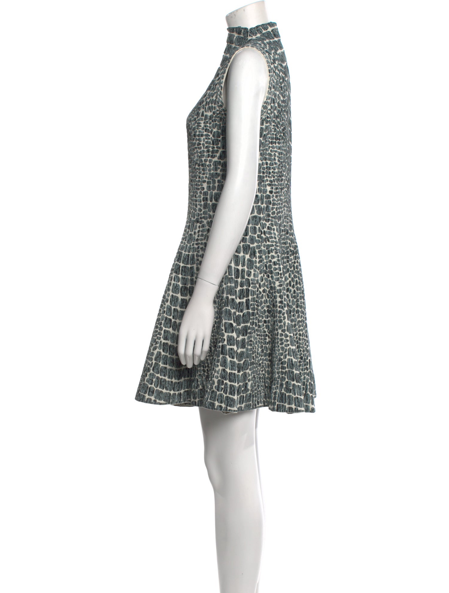 Alaïa Animal Print Mini Dress