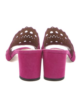 Alaïa Suede Lasercut Accents Slides