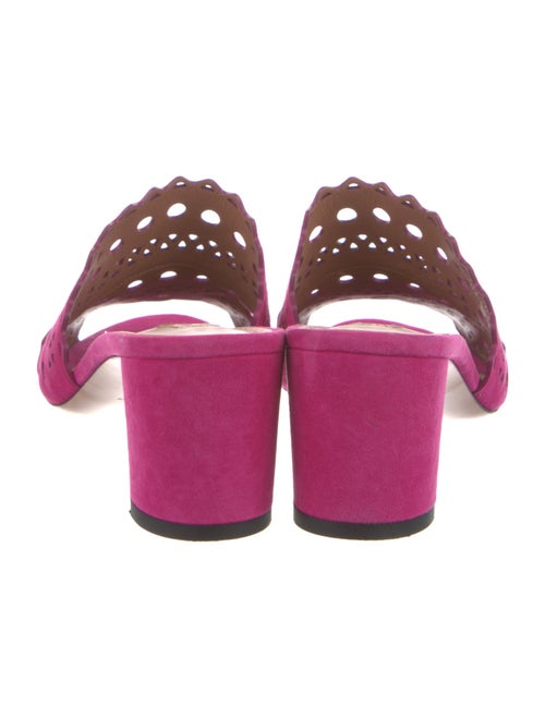 Alaïa Suede Lasercut Accents Slides