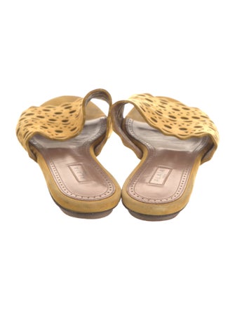 Alaïa Suede Lasercut Accents Slides