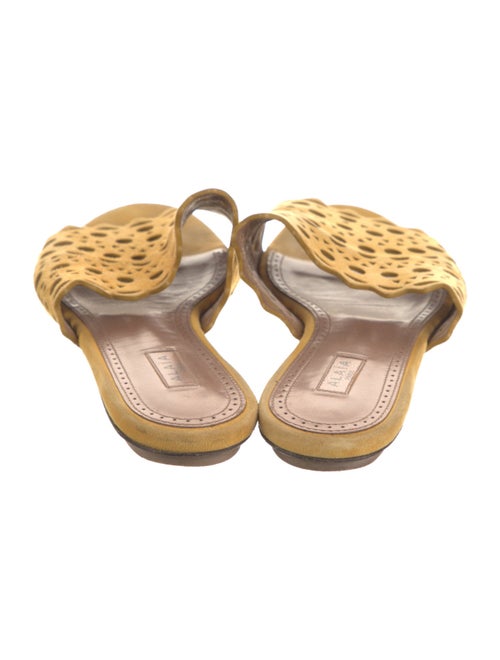 Alaïa Suede Lasercut Accents Slides
