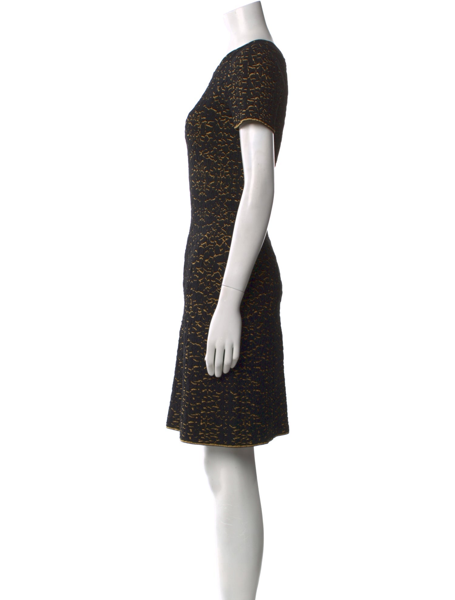 Alaïa Printed Mini Dress