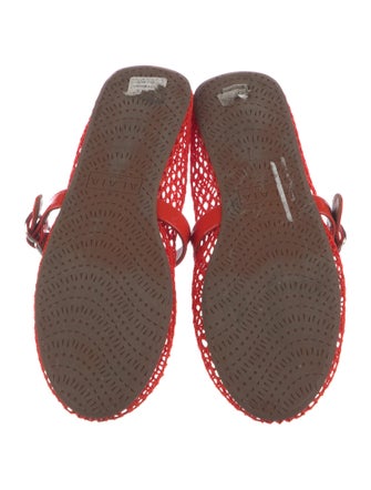 Alaïa Mesh Mesh Accents Mary Jane Flats