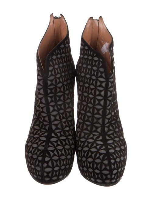 Alaïa Suede Lasercut Accents Pumps