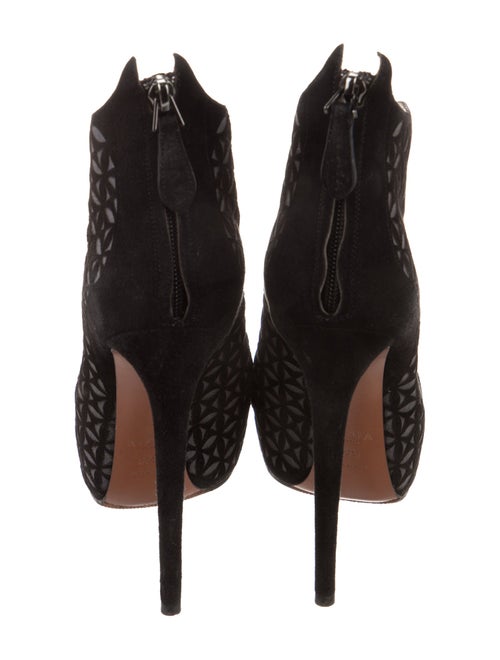 Alaïa Suede Lasercut Accents Pumps