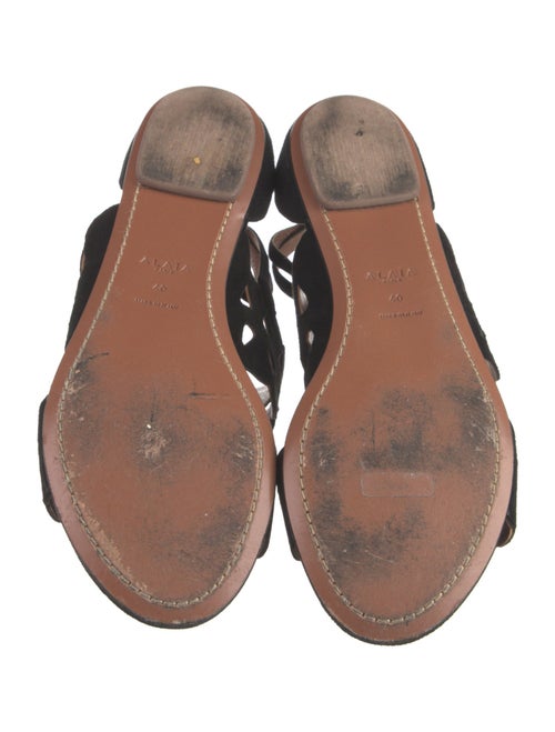 Alaïa Suede Lasercut Accents Gladiator Sandals