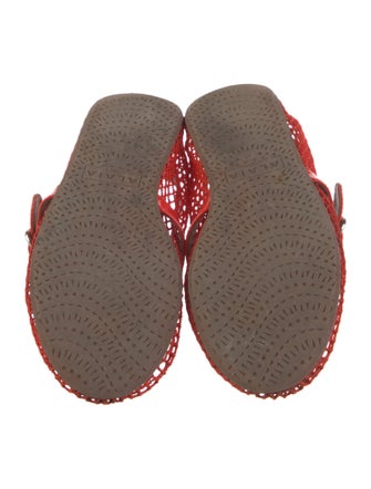 Alaïa Mesh Animal Print Mary Jane Flats