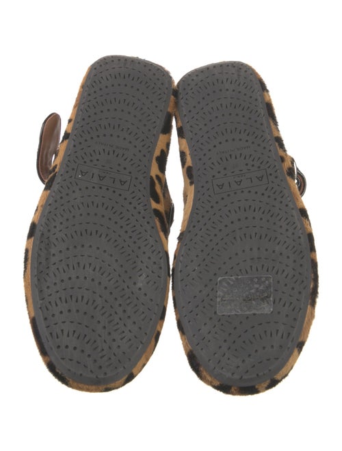 Alaïa Ponyhair Animal Print Mary Jane Flats