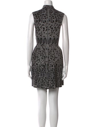 Alaïa Animal Print Mini Dress