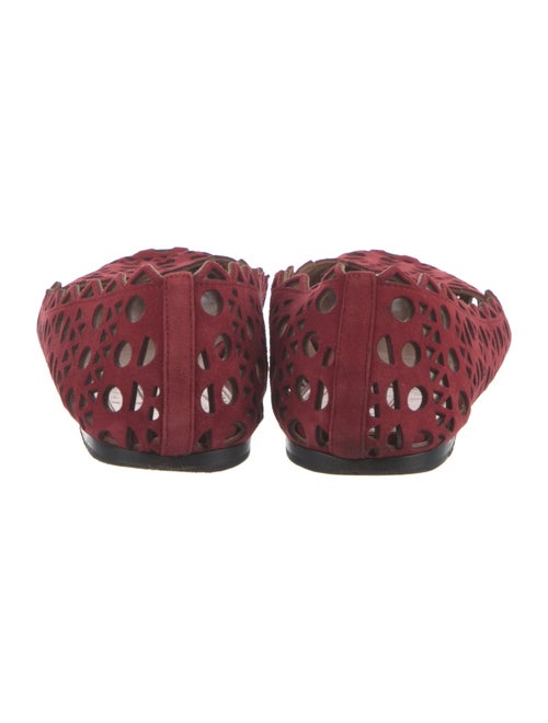 Alaïa Suede Lasercut Accents Ballet Flats