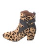 Alaïa Ponyhair Animal Print Lace-Up Boots