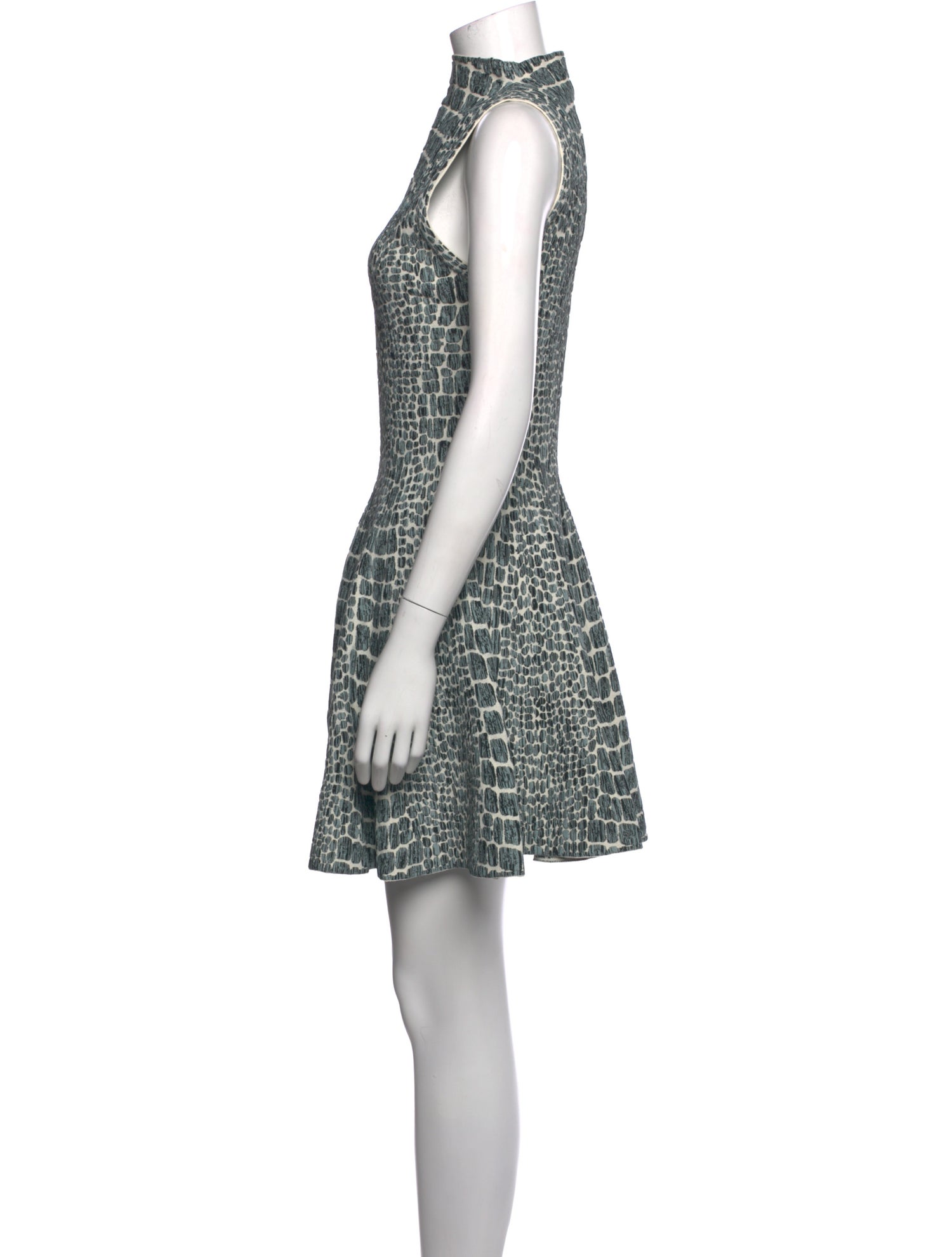 Alaïa Animal Print Mini Dress