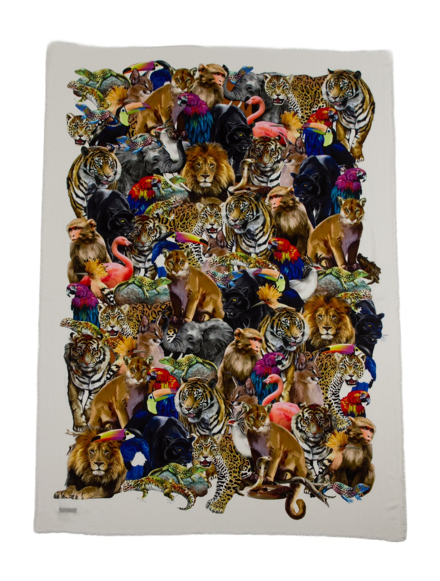 Alan Bilzerian Printed Scarf