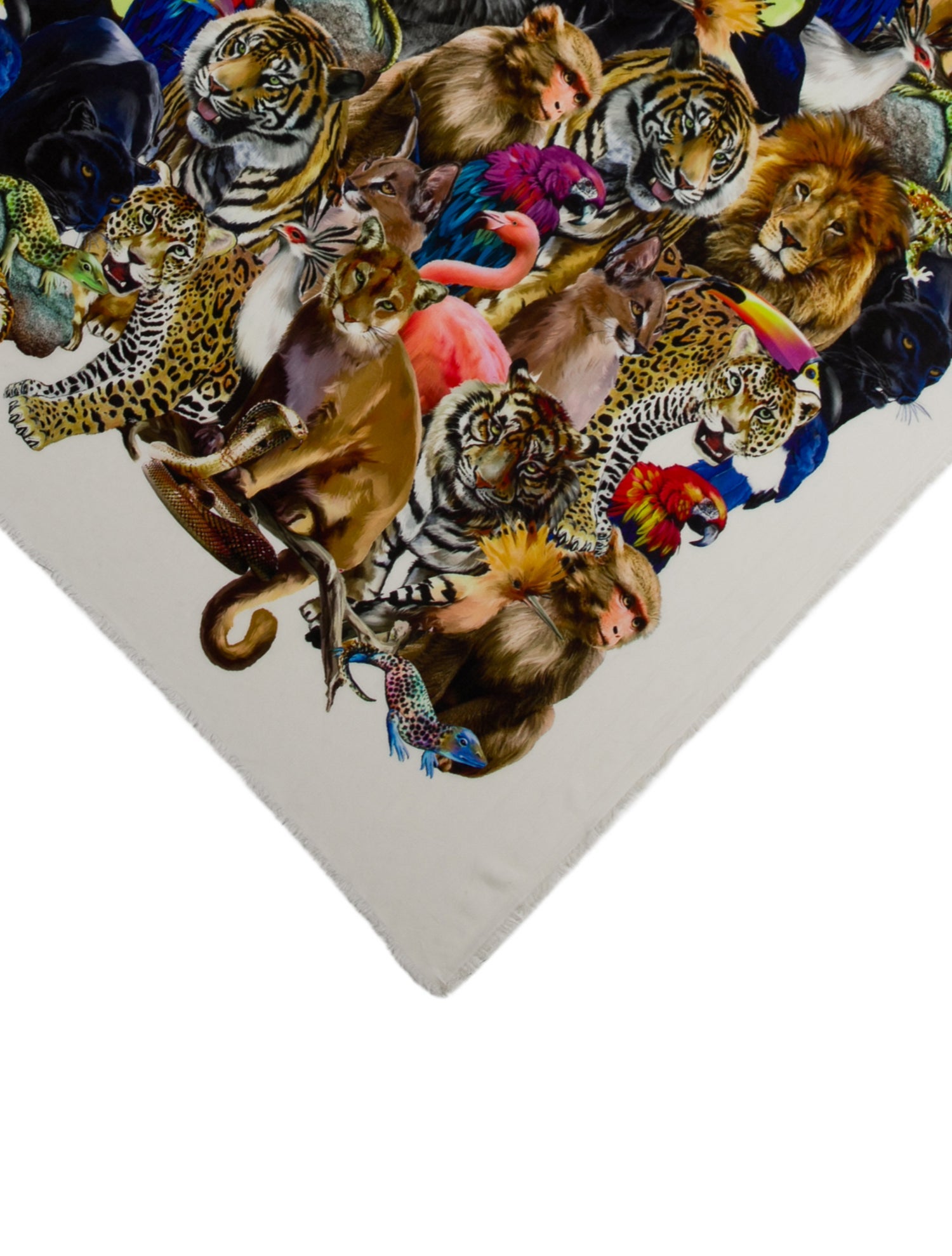 Alan Bilzerian Printed Scarf