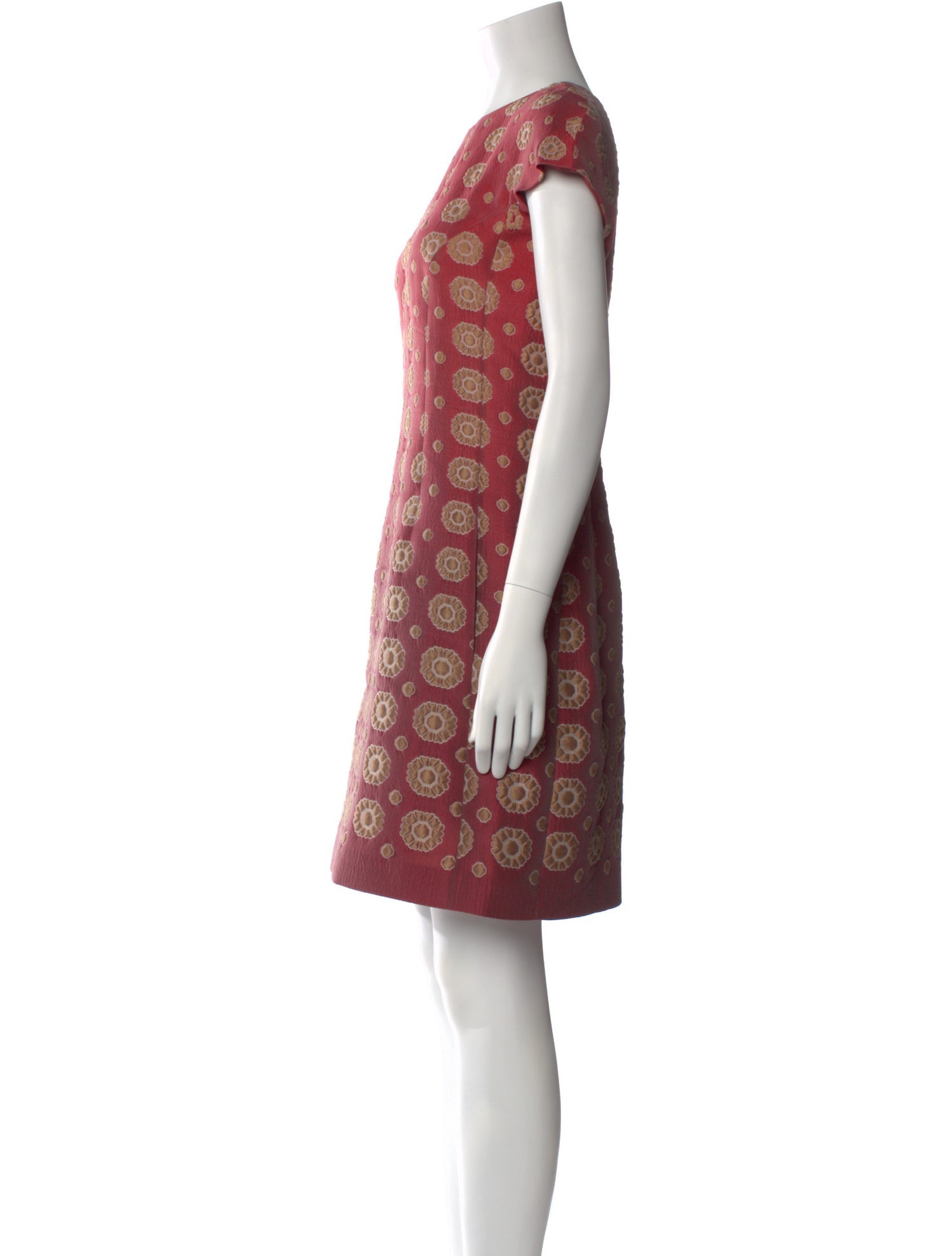 Alberta Ferretti Printed Mini Dress