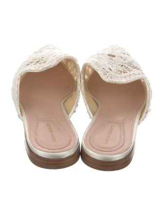 Alberta Ferretti Lace Pattern Lace Trim Embellishment Mules