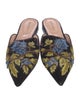 Alberta Ferretti Velvet Floral Print Mules