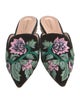 Alberta Ferretti Velvet Floral Print Mules