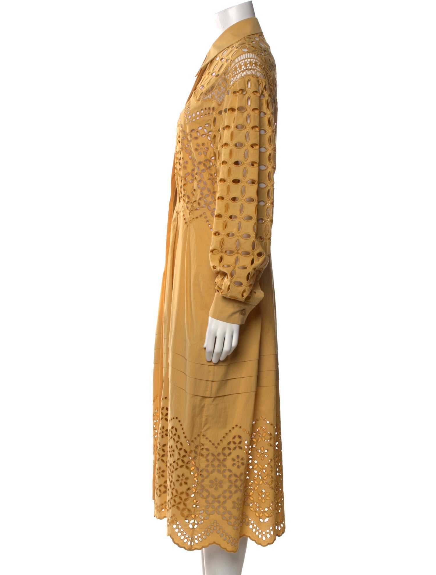 Alberta Ferretti Long Dress