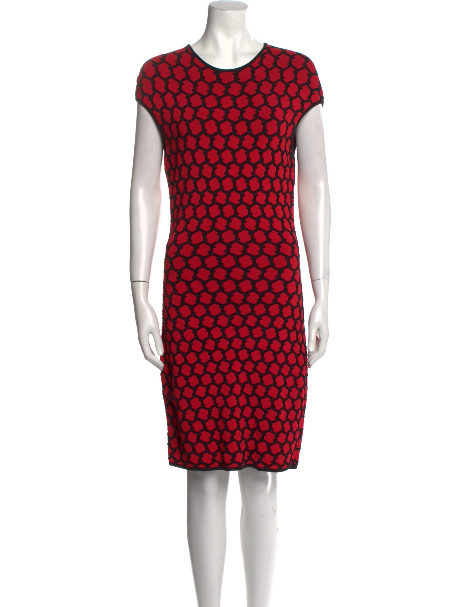 Alexander McQueen Printed Knee-Length Dress