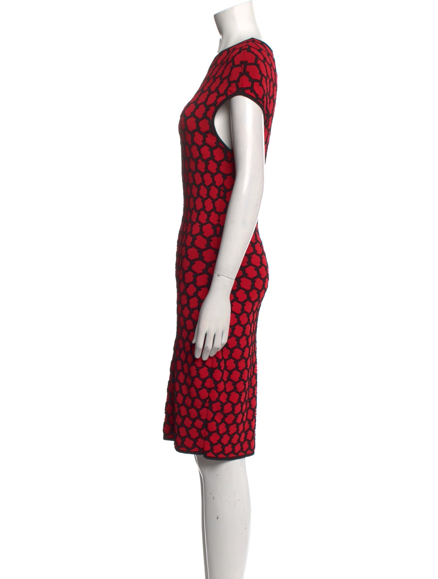 Alexander McQueen Printed Knee-Length Dress