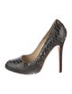 Alexander McQueen Python Animal Print Pumps