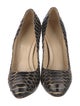 Alexander McQueen Python Animal Print Pumps