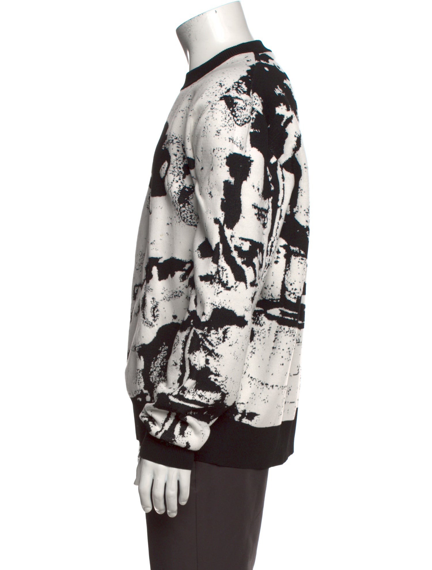 Alexander McQueen Printed Crew Neck Pullover