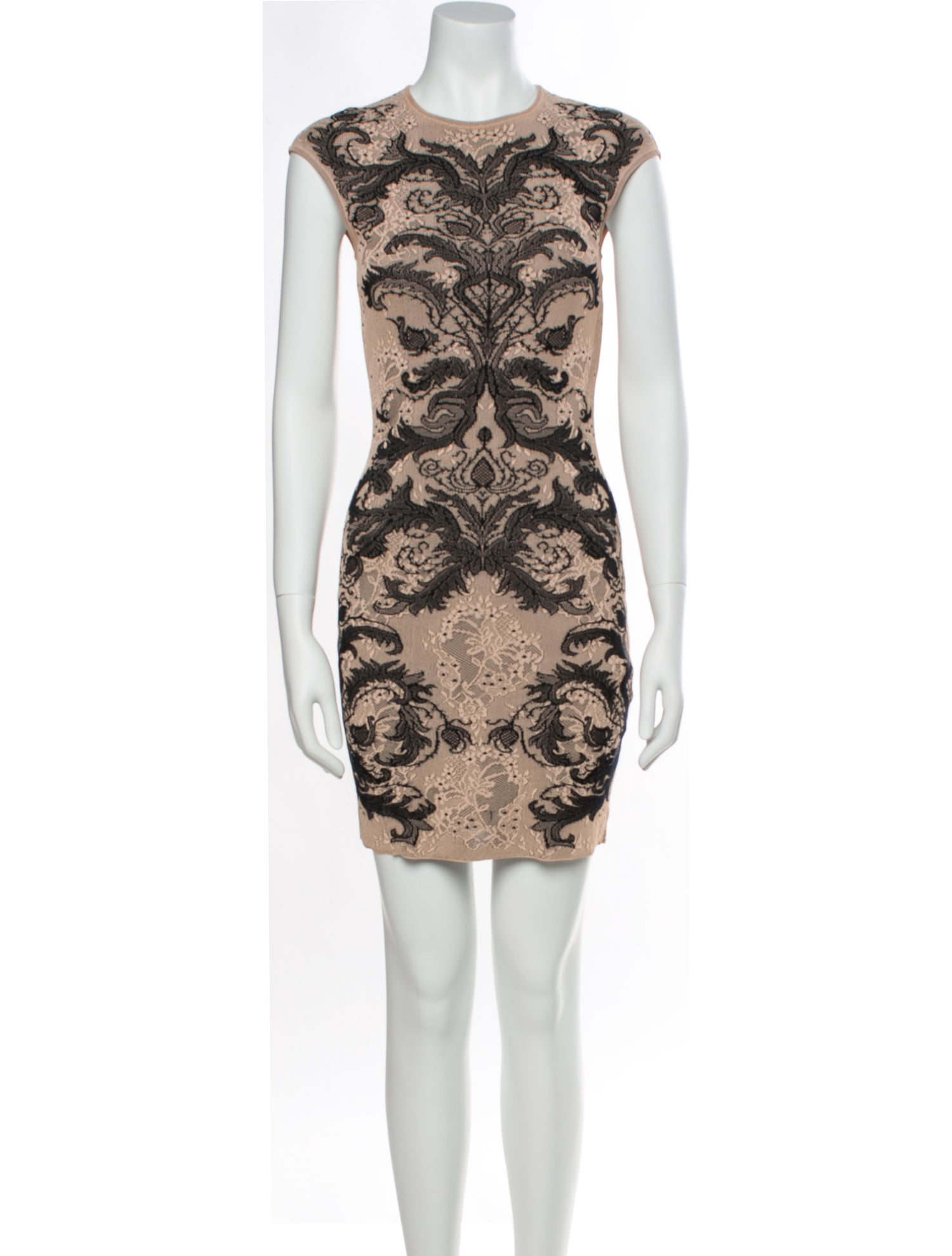Alexander McQueen Printed Mini Dress