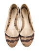 Alexander McQueen Canvas Printed Ballet Flats