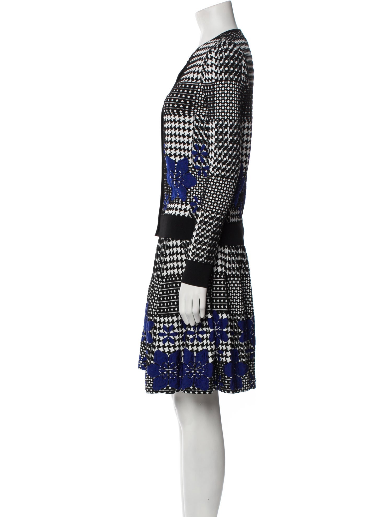 Alexander McQueen Printed Dress Set