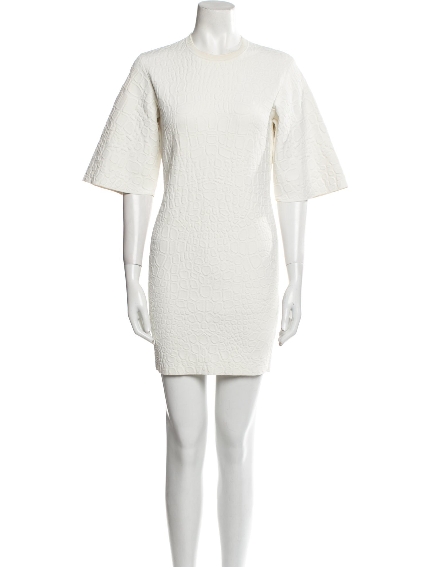 Alexander McQueen Crew Neck Mini Dress